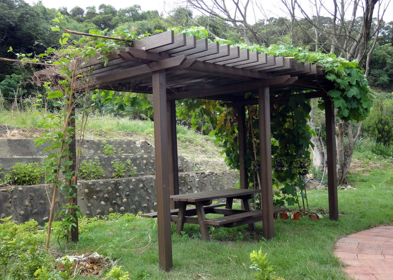 Pergola 2